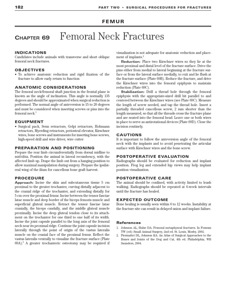 Johnson 2005 Pdf Musculoskeletal System Anatomy
