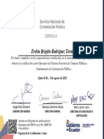 Certificado - Fundamentos EVELYN RODRIGUEZ 05-08-2023