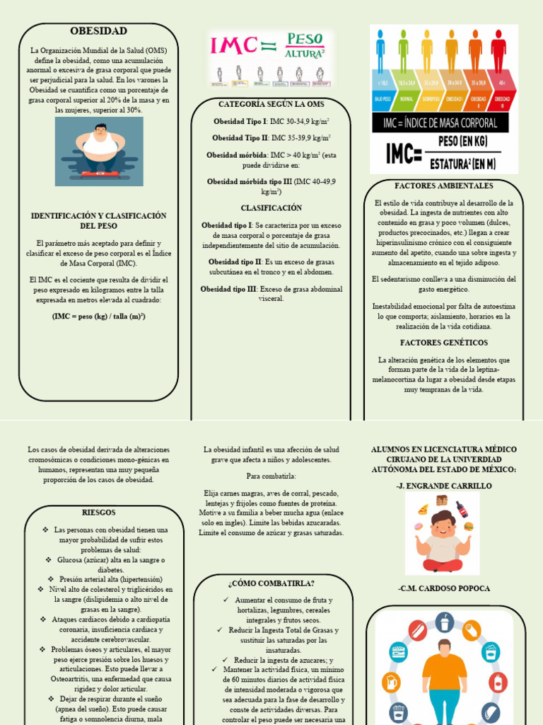 Triptico Definitiv | PDF | Obesidad | Tejido adiposo
