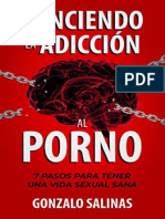 Gonzalo Salinas - Venciendo La Adicción Al Porno