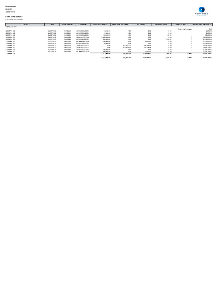 Loan Tape Report PDF Personal Finance Debt
