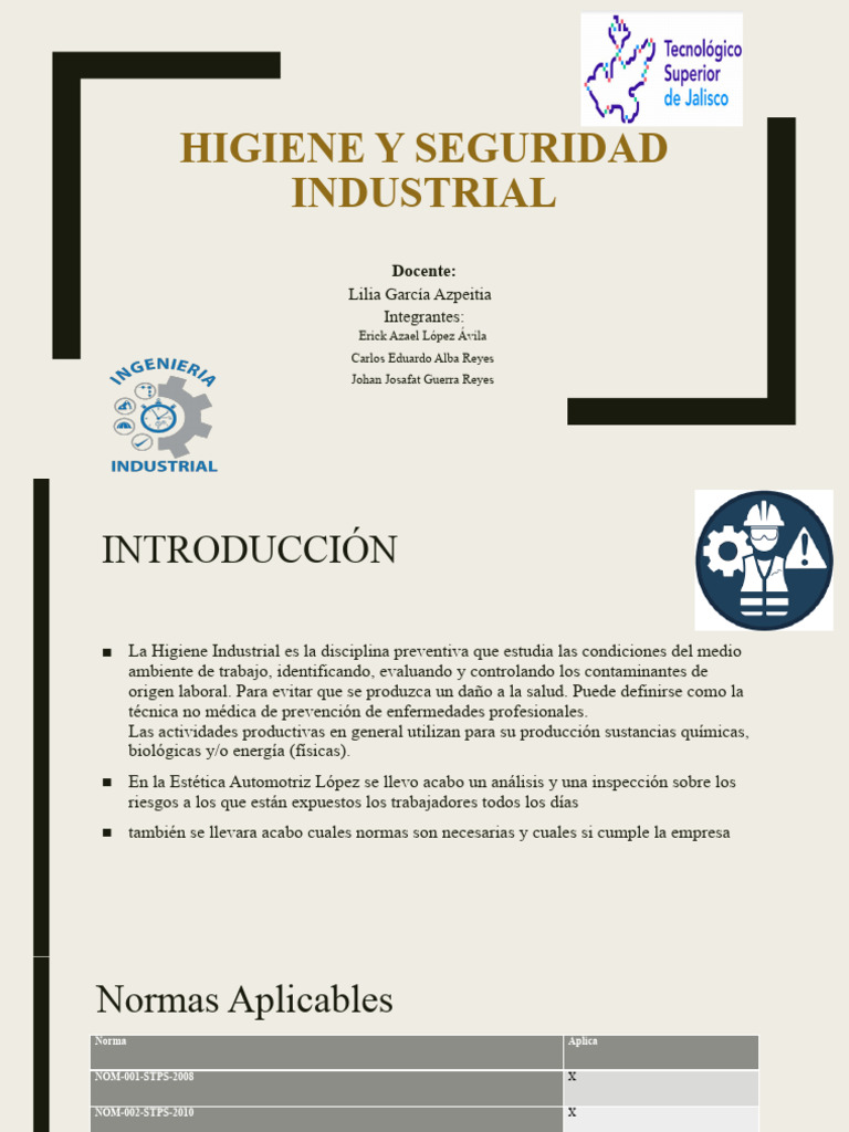 Higiene y Seguridad Industrial en Trabajo | PDF | Seguridad y salud ...