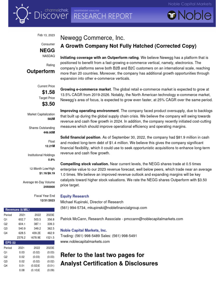 Newegg: E-Commerce Growth Potential | PDF | E Commerce | Financial Analyst