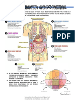 Topografia Abdominal 155091 Downloadable 5359589