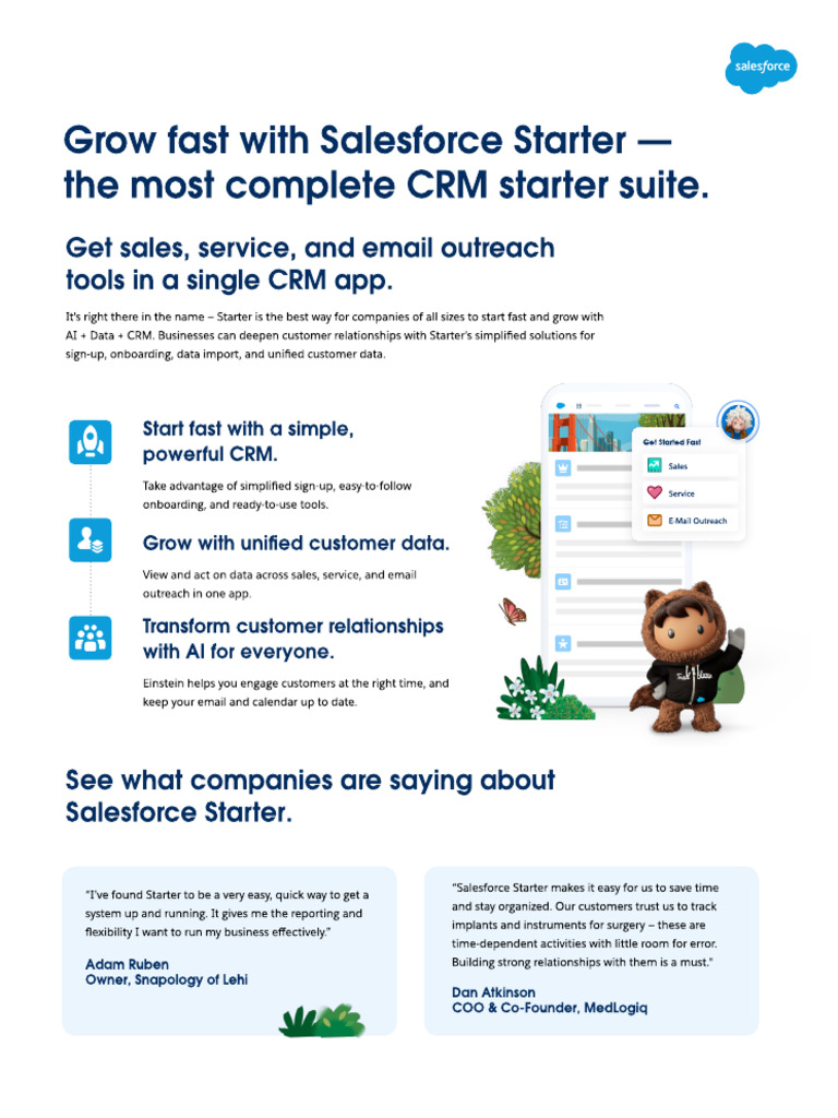 Salesforce Starter: Fast CRM Solutions | PDF | Customer Relationship ...