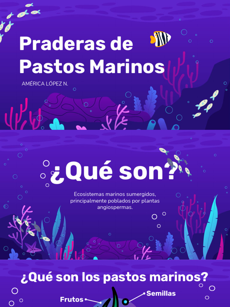 praderas-marinas-pdf-ecolog-a-de-sistemas-biolog-a-marina