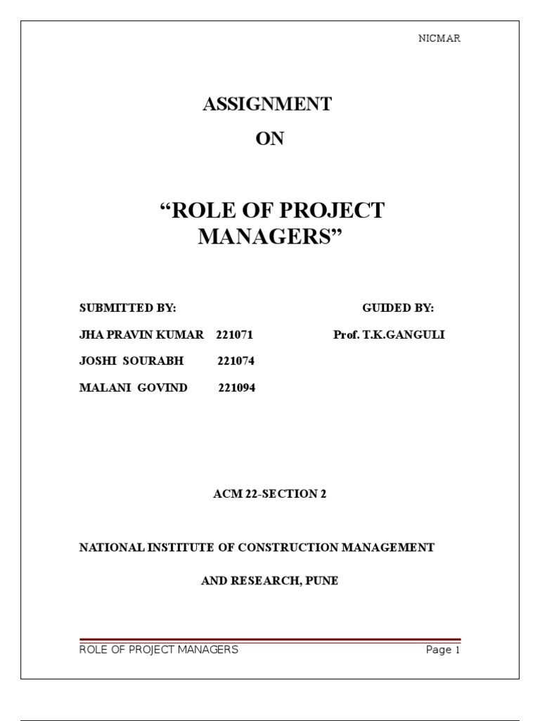 Role of Project Managers | PDF