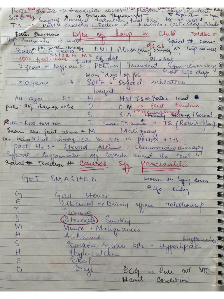HM Clinical Notes File 2 | PDF
