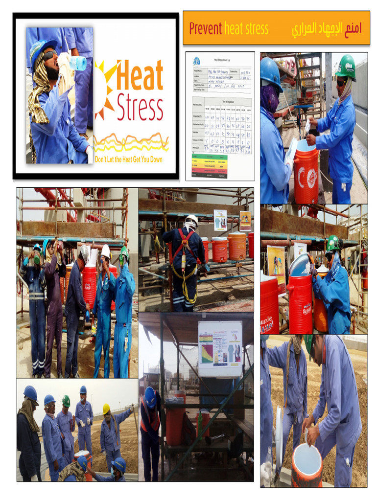 Heat Stress Campaign | PDF