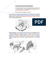 2010 2 Embriologia Dentaria (Odontogenesis)