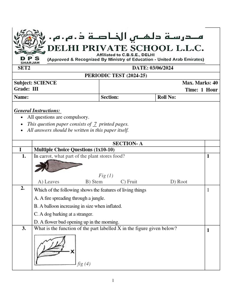 Science Paper Pdf Leaf Plants