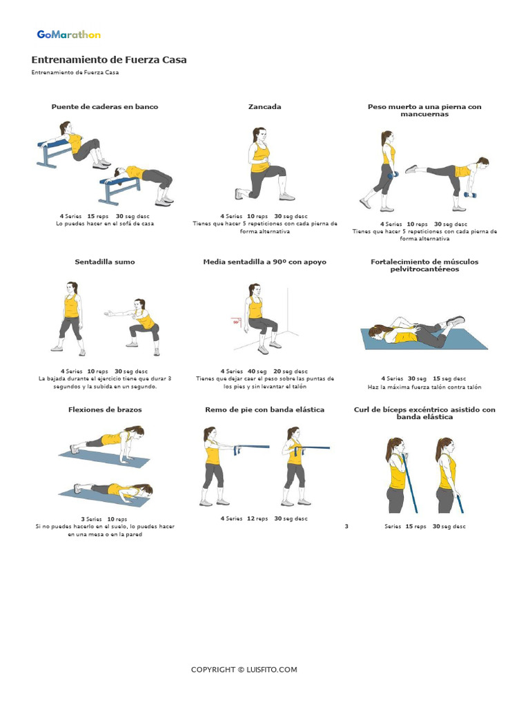 entrenamiento-fuerza-casa-1-pdf-entrenamiento-de-fuerza-ciencia
