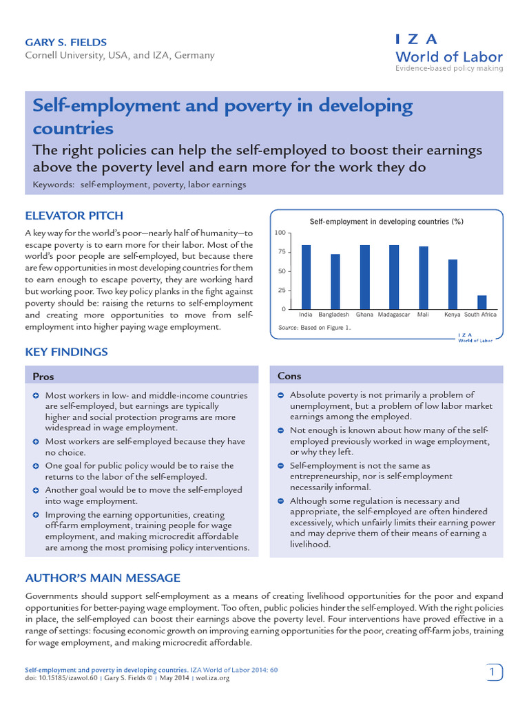 Self Employment and Poverty in Developing Countries | PDF | Millennium ...
