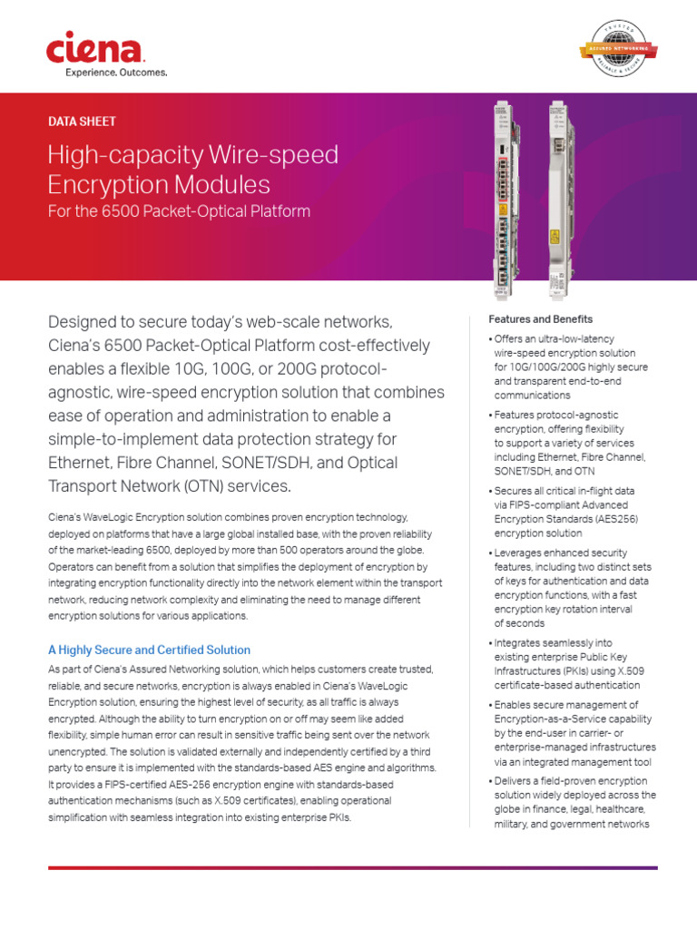 High Capacity Wire Speed Encryption Modules DS | PDF | Computer Network ...