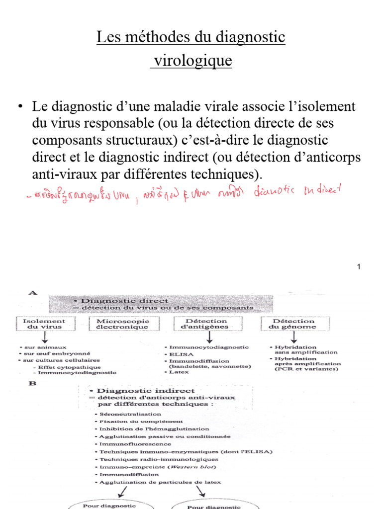 Méthodes de diagnostic virologique | PDF | Virus | ADN