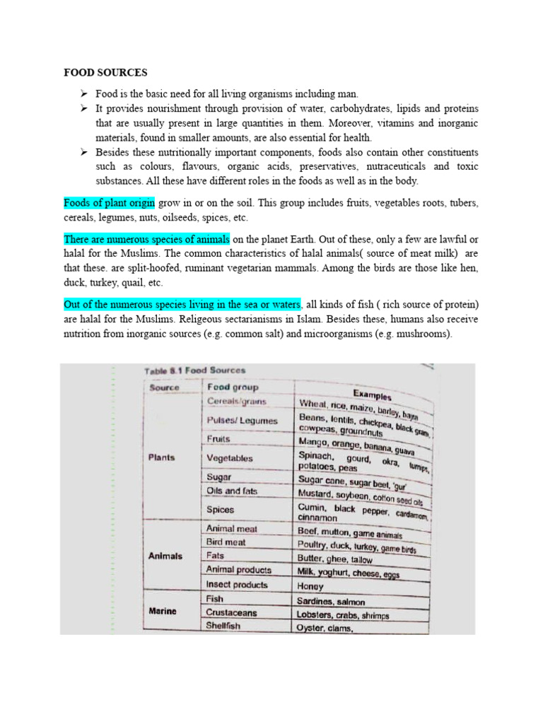 Halal Food Sources and Contaminants | PDF | Foods | Food Preservation