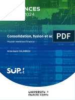 Cours Consolidation, Fusion Et Acquisitions