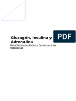 Glucagón Insulina y Adrenalina