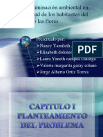 Contaminacion Ambienta