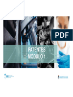 Patentes Modulo1 Dra Salice INPI