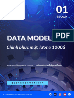 Ebook Data Modelling - Chinh phục thu nhập 1000$