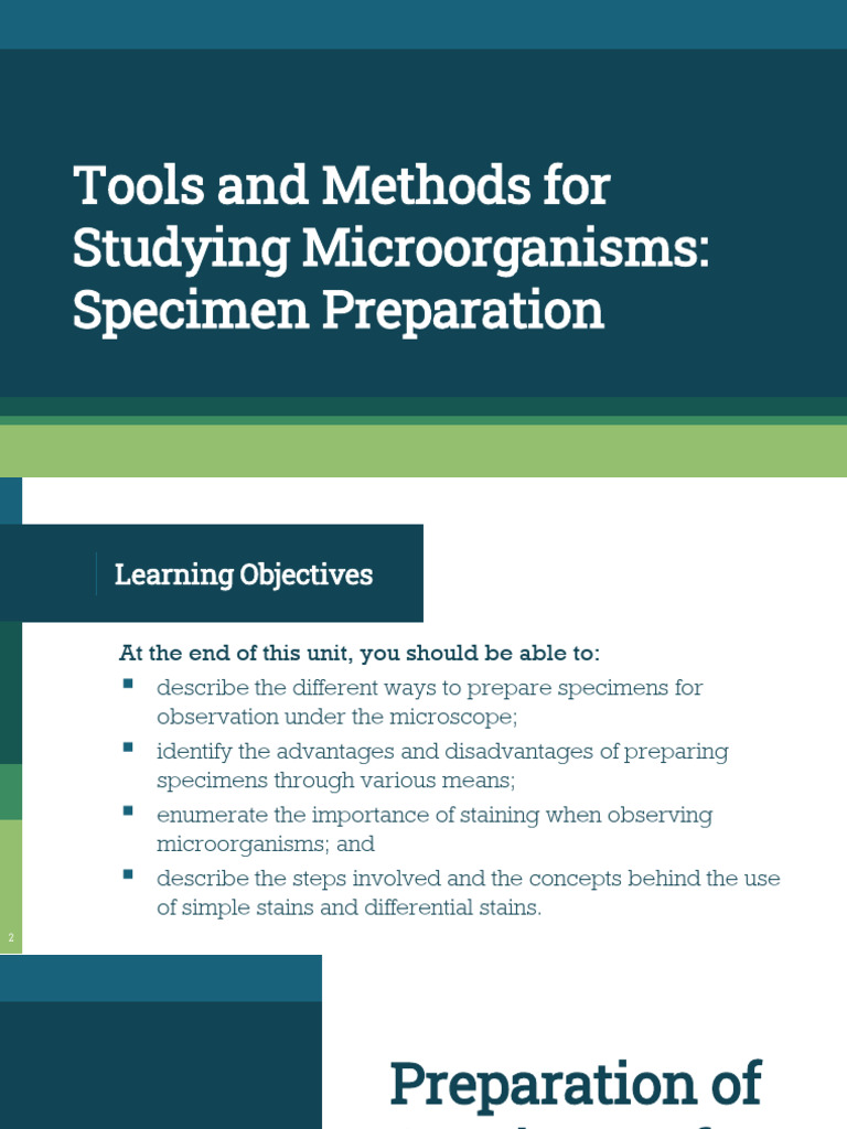 Specimen Preparation for Microbiology | PDF | Staining | Gram Positive ...