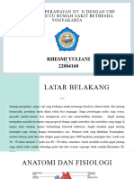 Rhesmi Yuliani 22004160: Asuhan Keperawatan Ny. N Dengan CHF Di Ruang Iccu Rumah Sakit Bethesda Yogyakarta