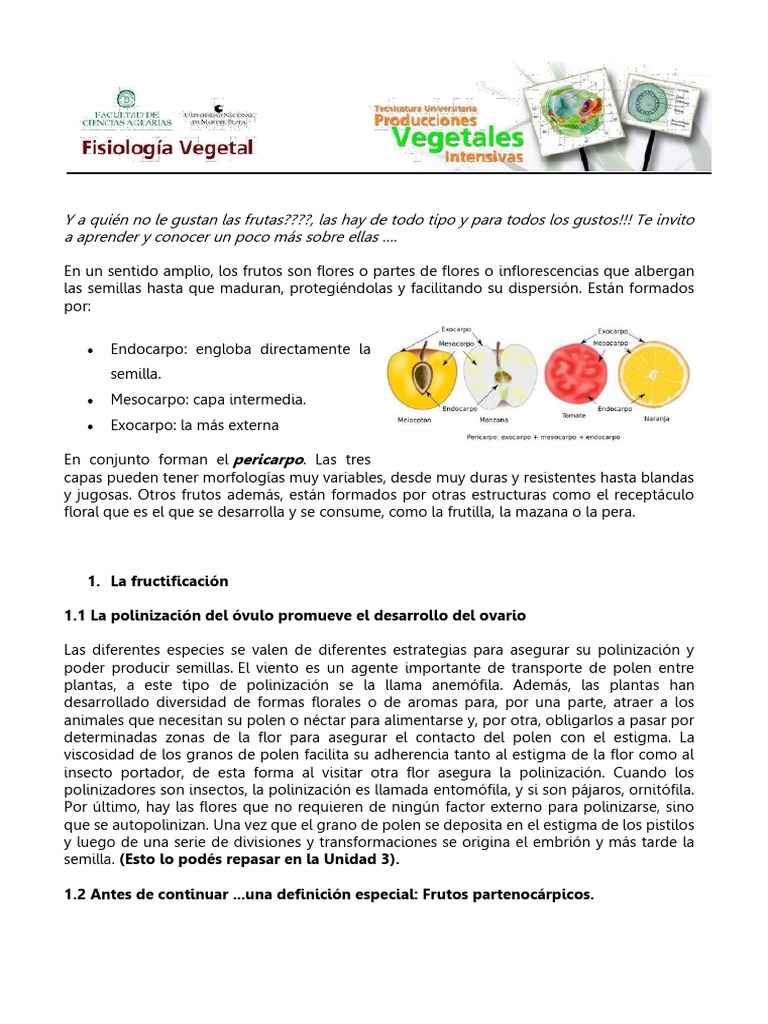 U5-Fisiología de La Fructificación | PDF | Flores | Fruta