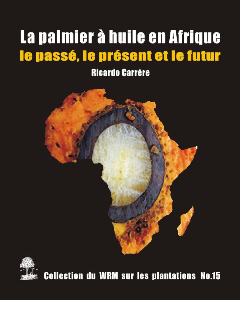 Palmier A Huile En Afrique - 