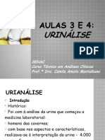 Aula - 3 e 4 Urinálise
