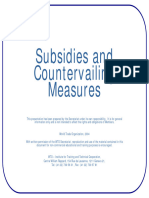 Subsidies & Countervailing Measures