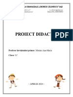 CLR - proiect didactic, MAXIM IC, 2024