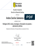 Hidrógeno (H2) - Ciencia, Tecnología y Formulación de Proyectos - Aplicaciones Prácticas