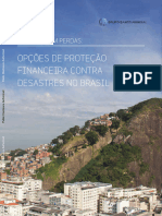 Opções de Proteção Financeira Contra Desastres No Brasil: Lidando Com Perdas