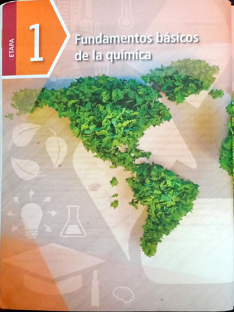 Libro La Materia y Sus Transformaciones (Etapa 1 y 2) | PDF