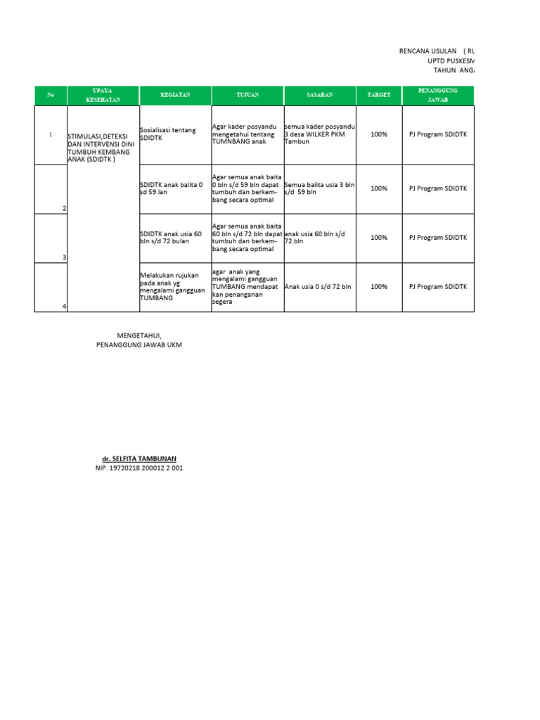 Rencana Program SDIDTK 2025 | PDF