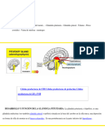 Cerebro