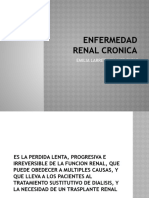 Enfermedad Renal Cronica