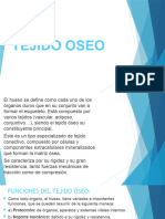 Tejido Oseo