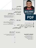 (عماد ربيع) Cv