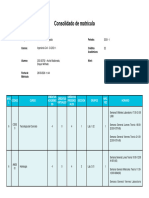 consolidado (1)