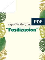 Reporte de Lectura