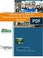 Informe de La Practica Preprofesional Hemco