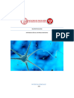 Primer Trabajo Práctico - TP Sistema Nervioso (SN) - Neurofisiologia