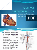 Sistema Cardiovascular.