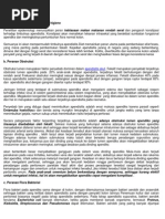 Download Apendisitis akut by putrie2011 SN73709196 doc pdf
