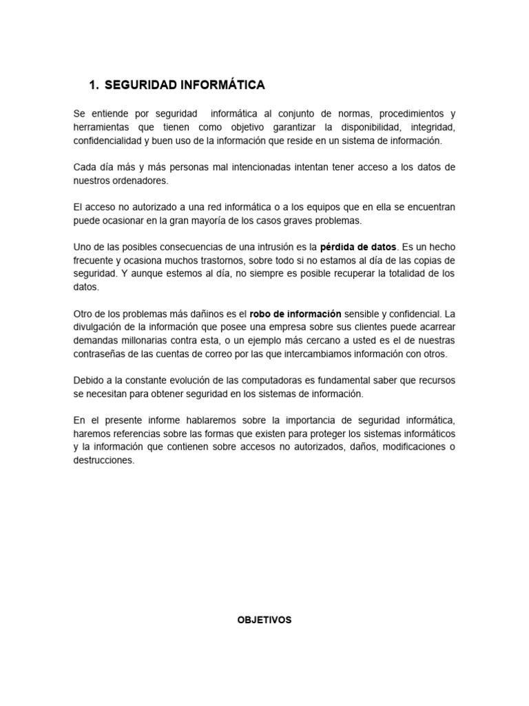 Importancia de la Seguridad Informática | PDF | Seguridad | La ...