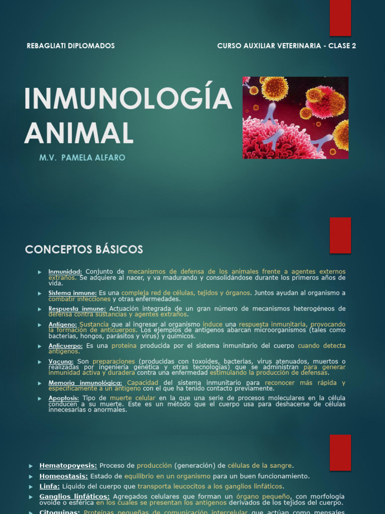 Inmunología Animal: Conceptos Clave | PDF | Sistema inmune | Linfocitos