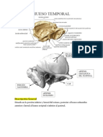Hueso Temporal