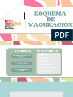 3 VACUNAS INFLUENCIA ESTACIONARIA - Dta - VIRUS PAPILOMA HUMANO